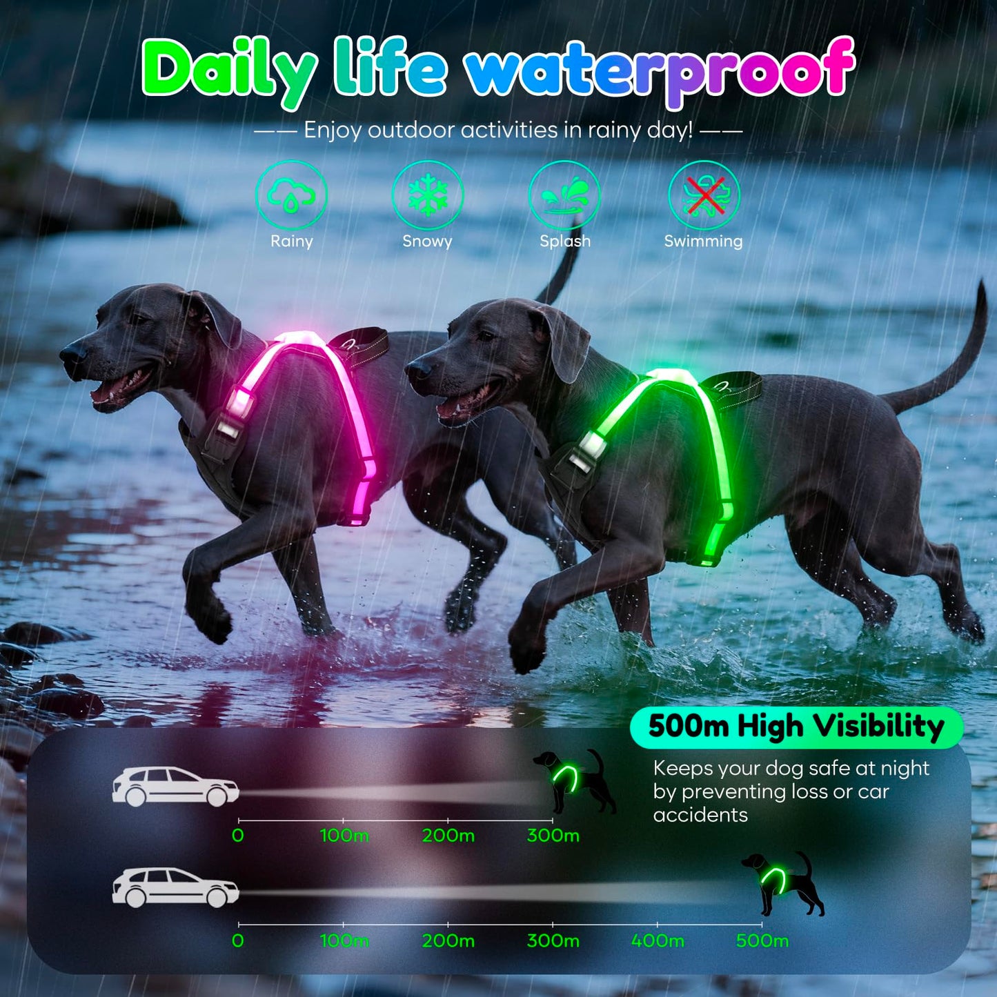 USB-C Rechargeable LED Dog Harness for Night Walking