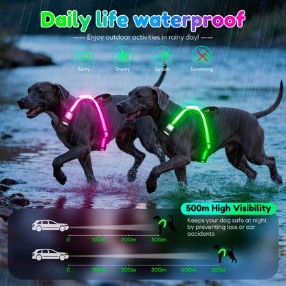 USB-C Rechargeable LED Dog Harness for Night Walking