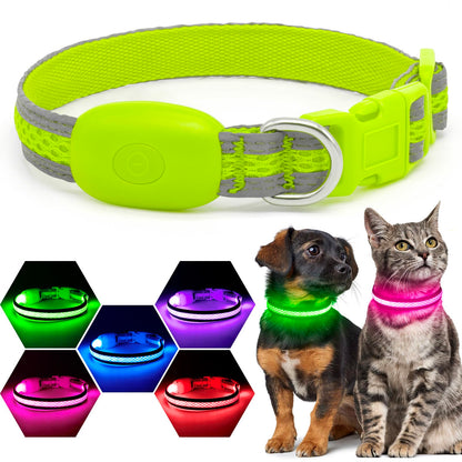 USB Rechargeable LED Light-Up Dog Safety Collar