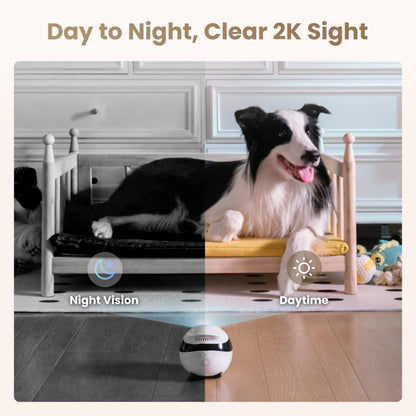 Indoor Security Camera Robot EBO Air 2: 2K Pet Camera, Movable Home Robot, Custom Facial Expression, Auto-Recharge, Battery-Operated, 2-Way Talk, Night Vision, 32GB Memory Card