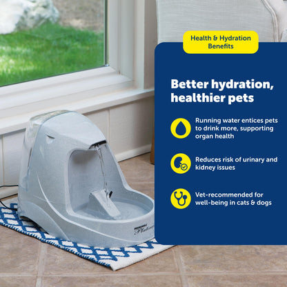 PetSafe Drinkwell Platinum Cat Water Fountain, 168 oz/5L, Grey