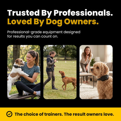Mini Remote Dog Training Collar with Adjustable Levels