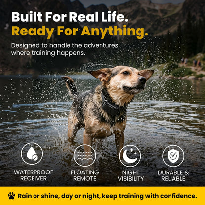 Mini Remote Dog Training Collar with Adjustable Levels